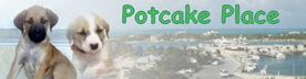 Potcake Place